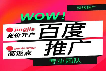 推广竞价实战经验：成功案例分享与启示