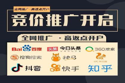 SEM代运营公司案例分析报告